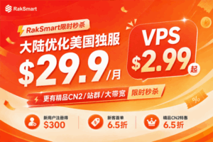 RakSmart